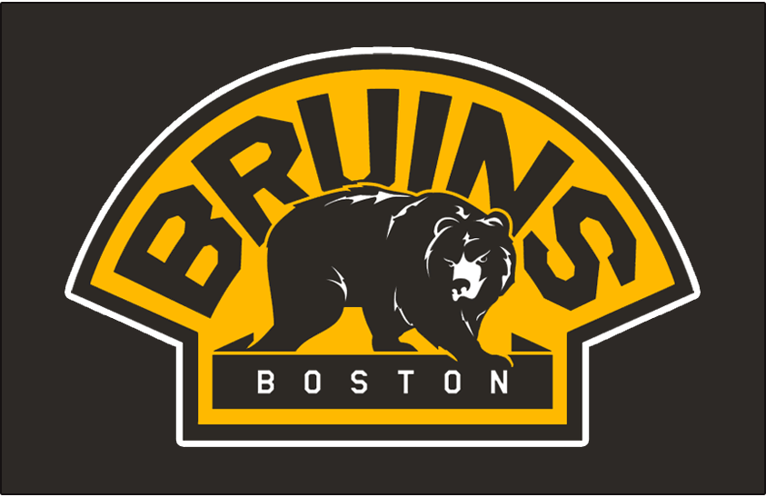 Boston Bruins 2008-2016 Jersey Logo t shirts iron on transfers